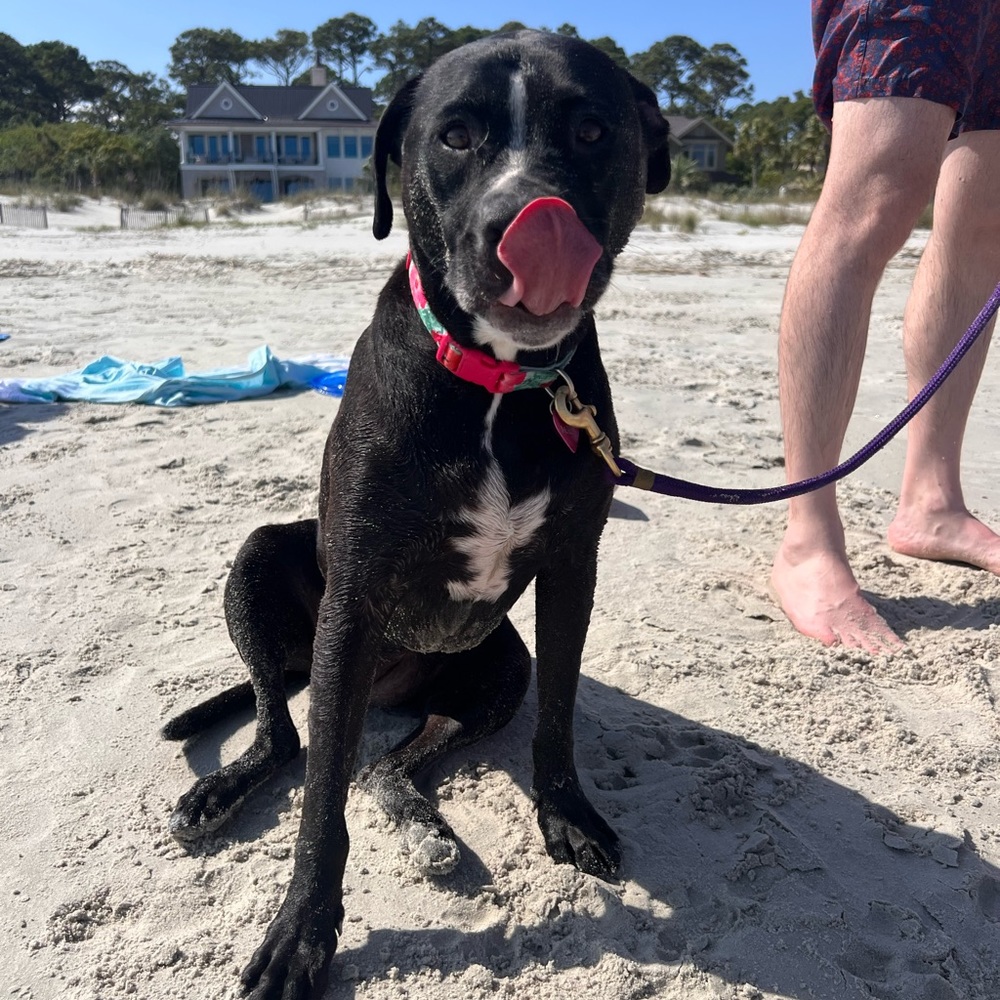 Meet your Posher, Erin